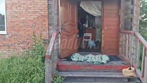 В Кузбассе собака насмерть загрызла 6-летнюю девочку — Следком возбудил уголовное дело