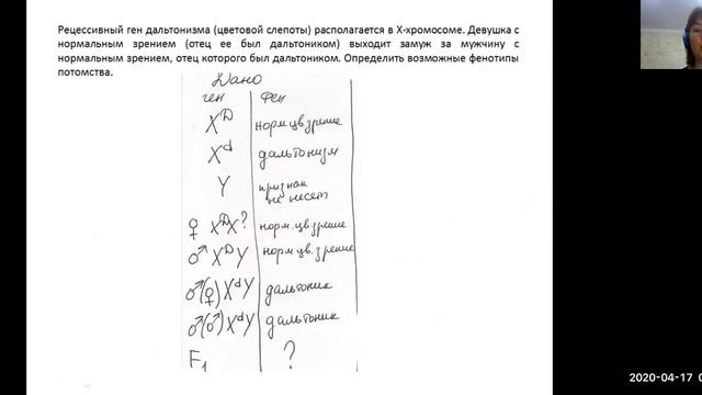 Сцепленное с Х-хромосомой наследование генов. Урок 10 класс 17.04.2020 Баштанник Н.Е.