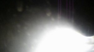 ВЫРАЩИВАНИЕ ДАФНИЙ НА БАНАНОВОЙ КОЖУРЕ    ИЛИ НА ОПАВШЕЙ ЛИСТВЕ vselennaya uvlesheniy