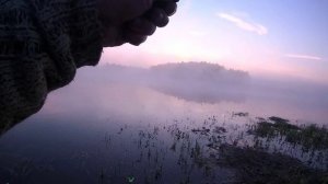 ЛОВЛЯ КАРПА НА КУКУРУЗУ  И НАТУРАЛЬНЫМ МЕДОМ. РЫБАЛКА В КОКИНО(НОВЫЙ ВОДОЕМ)