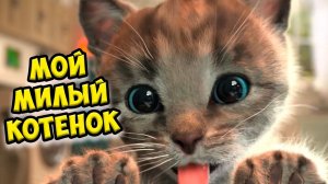 Мой милый котенок Игра про котика Приключение