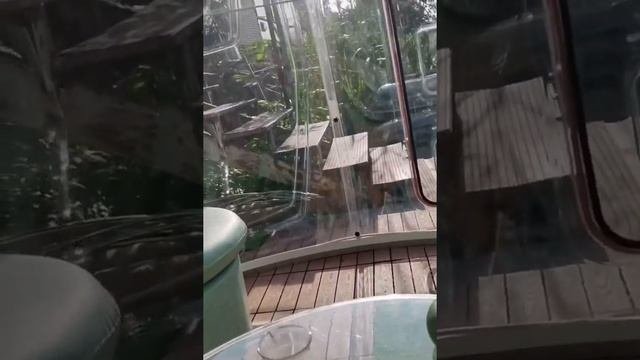 Обзор прозрачного купольного дома