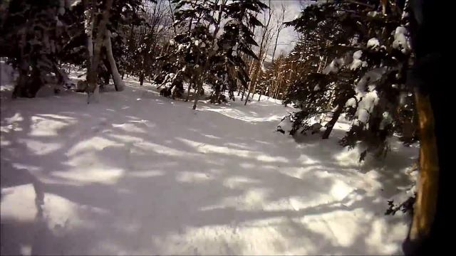 катание на сноублейдах по лесу ЮжноСахалинск