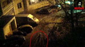 4. Истории на ночь  station922 mkv Палочник, Буратино   YouTube