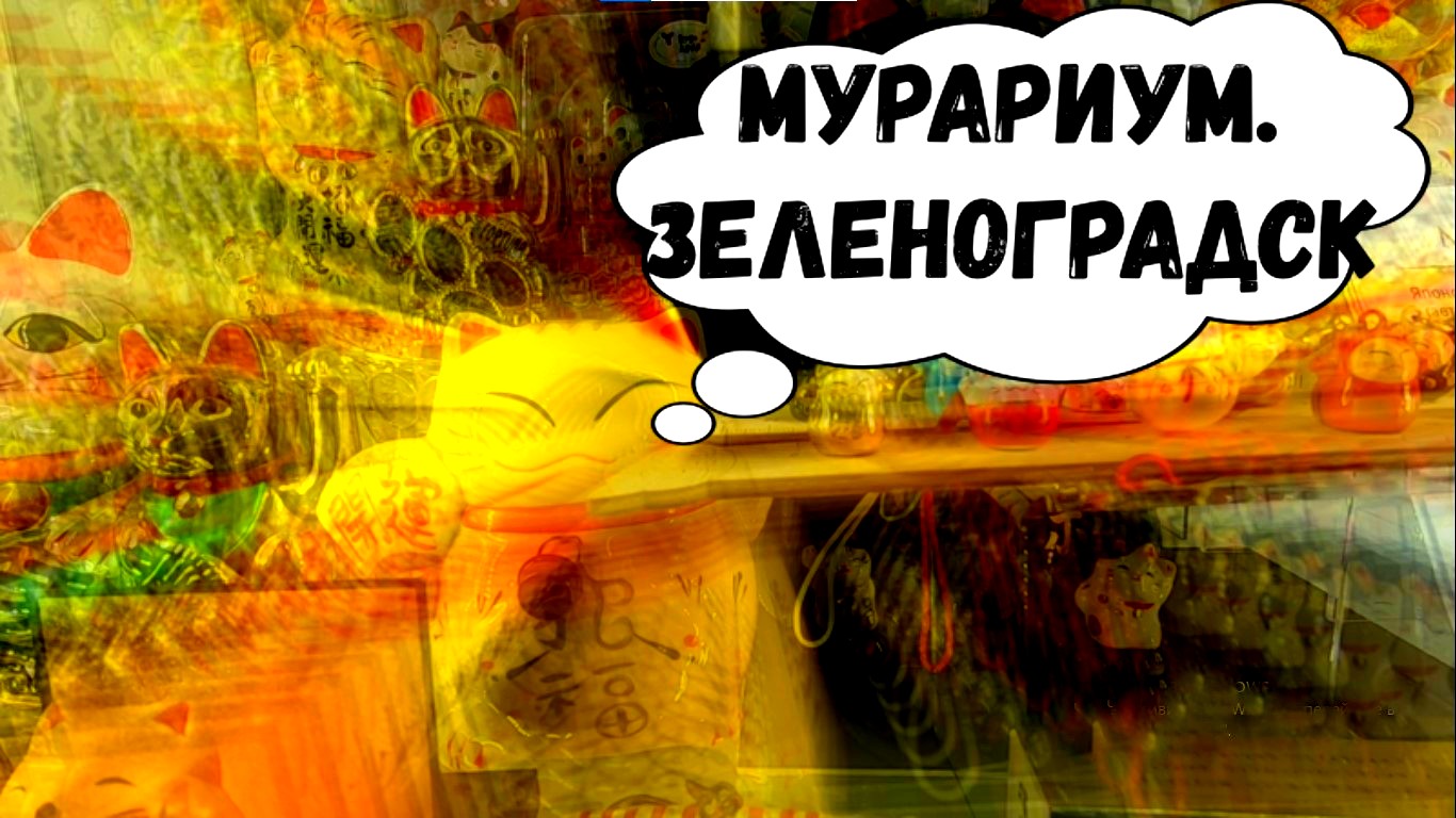 МУРАРИУМ. ЗЕЛЕНОГРАДСК #зеленоградск #калиниградскаяобласть #море #путешествия #походы