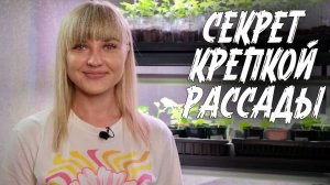 Как правильно ухаживать за рассадой_ Секреты ухода (720p)