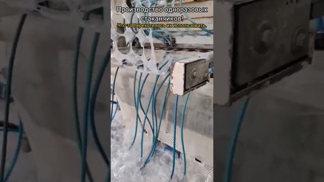 Производство одноразовых стаканчиков! Что-то перехотелось их использовать! смотреть онлайн