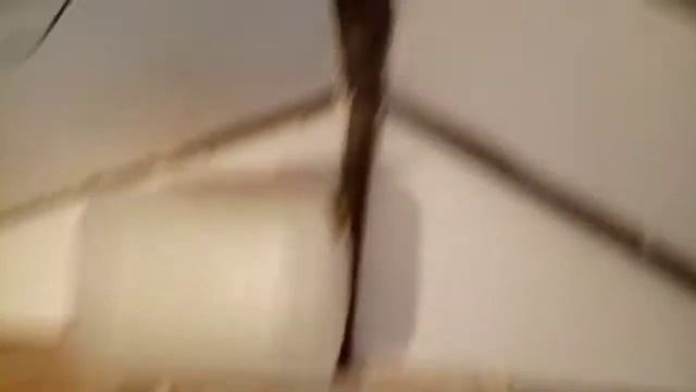 Курятник, несушки Ломан Браун, бройлеры Кооб 500. смотреть онлайн