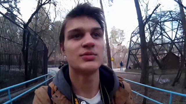VLOG • Поход в зооПарк смотреть онлайн
