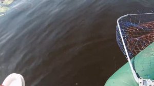 Как ставить и ловить отгруженные,стационарные кружки