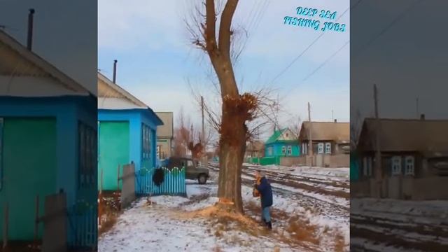 Бензопила и идиоты