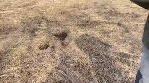 ТУР ОТ СЕРОГО КОПАТЕЛЯ ,ТВЕРЬ ДЕНЬ ПЕРВЫЙ ,КУЧА ИНТЕРЕСНЫХ НАХОДОК И ПОЛОЖИТЕЛЬНЫХ ЭМОЦИЙ !