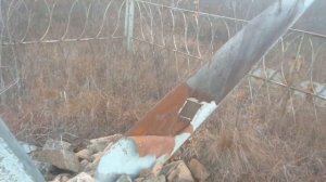 МР 155 Русич, охота на тетерева и необычные находки.