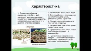 Лишайники (фрагмент урока). Биология 6 класс. Ботаника.