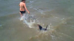 Такс плавает)))