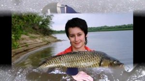 ЭХ, ХВОСТ, ЧЕШУЯ    Вилли Токарев