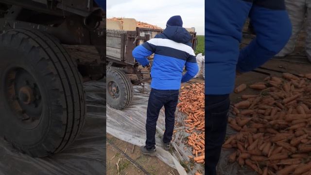 Волгоград..п.ерзовка..2021г. смотреть онлайн