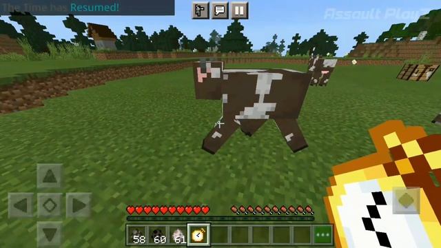 Download Stop Watch addon for Minecraft pe 1.17 | Stop Watch addon for MCPE 1.17 | Assault PlayZ смотреть онлайн