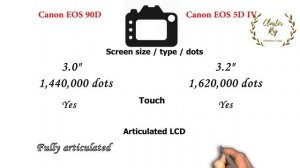 Canon EOS 90D VS Canon EOS 5D Mark IV | Quick Camera comparison