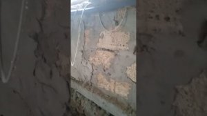 стены из ракушняка что делать дальше?