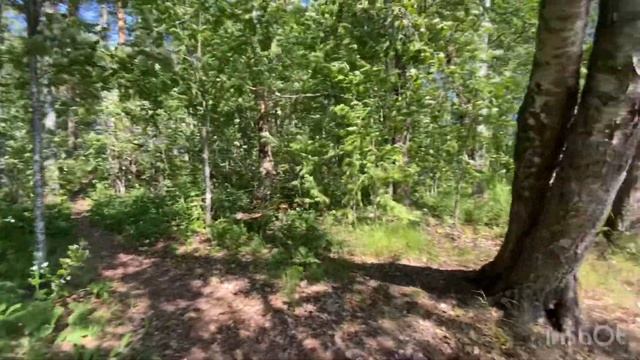 Прогулка по Озеру#рыбалка2023 смотреть онлайн