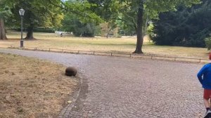 Наша жизнь в Германии! Прогулка по Баден-Бадену.