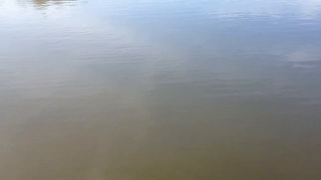 Толстолоб смотреть онлайн