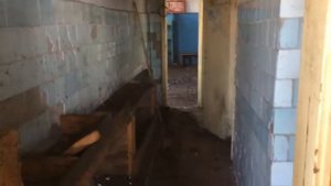Заколдованный участок(2 часть)