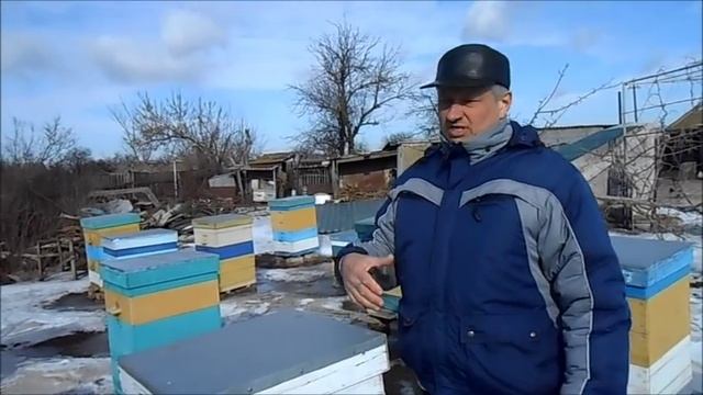 Контроль зимовки пчёл в двух корпусах на рамку 300 мм смотреть онлайн