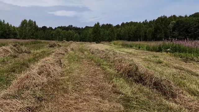 Уборка сена в волки, лето 2020 смотреть онлайн