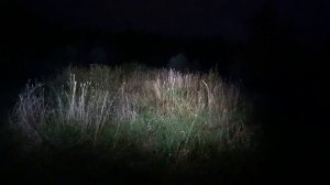 Sofirn BLF SP36 с белым светом и более тёплым в пасмурную погоду.