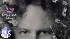 INSTRUMENTAL MUSIC ✪ ВИКТОР ЗИНЧУК ✪ ПОЛЬКА ✪ VICTOR ZINCHUK ✪ POLKA ✪ STRAUSS