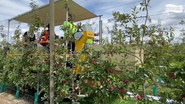Future Orchards - Platforms for harvest смотреть онлайн