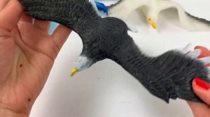 The Epic Animals - Flying Creatures Blind Bags Toys unlimited Unboxing