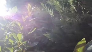 С ДНЁМ РОЖДЕНИЯ! (для женщины) /христианский стих/ читает автор Анна Юркин