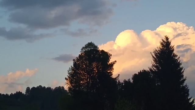 Учись у них - у дуба, у березы. смотреть онлайн