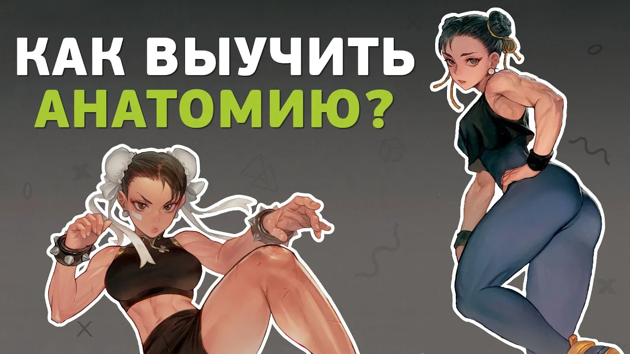 Как выучить анатомию