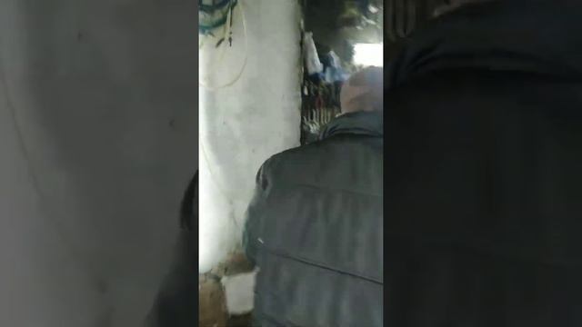 23 апреля 2021 г. смотреть онлайн