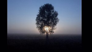 "Калинушка - размалинушка" Юрий Щербаков. Слайд-шоу с. Мадаево Нижегородской обл.