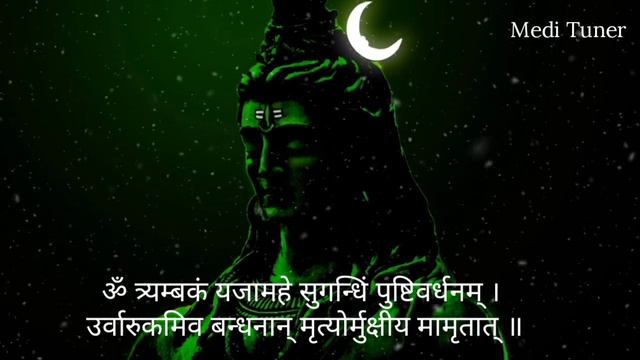 महमतयजय मतर  Mahamrityunjaya Mantra  LoFi  With Lyrics