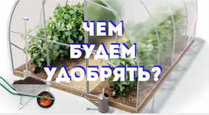 14.01.2023 Удобрения для сезона 2023: заказ от магазина "7 семян"- что купила . Часть 1