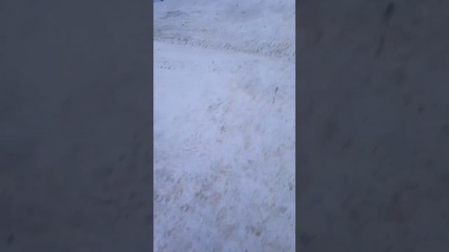 чем же я буду снимать?|какое моё хобби?💞 смотреть онлайн