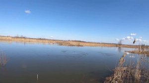 Спиннинг Pontoon 21 2019 Psychogun 732LSF из Фмагазин.ру