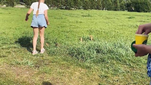 Визитная карточка Красноярска! И это не столбы. смотреть онлайн