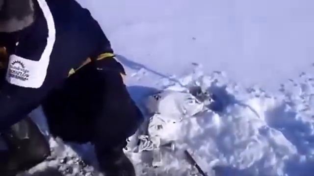 зимняя рыбалка  Ловля плотвы зимой  А окуня на голую мормышку смотреть онлайн