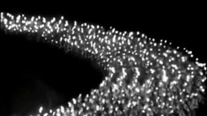 Дети   Дядя Вова, мы с тобой