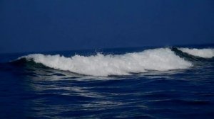 Фантастическая рыбалка на Шри Ланке