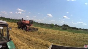 На пшеницу не поехали, зато выехали на ячмень! Комбайн НИВА СК 5 М 1