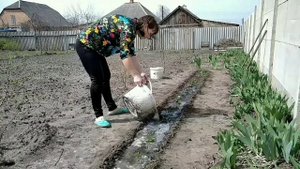 КЛУБНИЧНАЯ ГРЯДКА