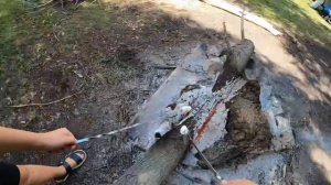 Семизбуга (Казахстан, Караганда) июль 2020 года